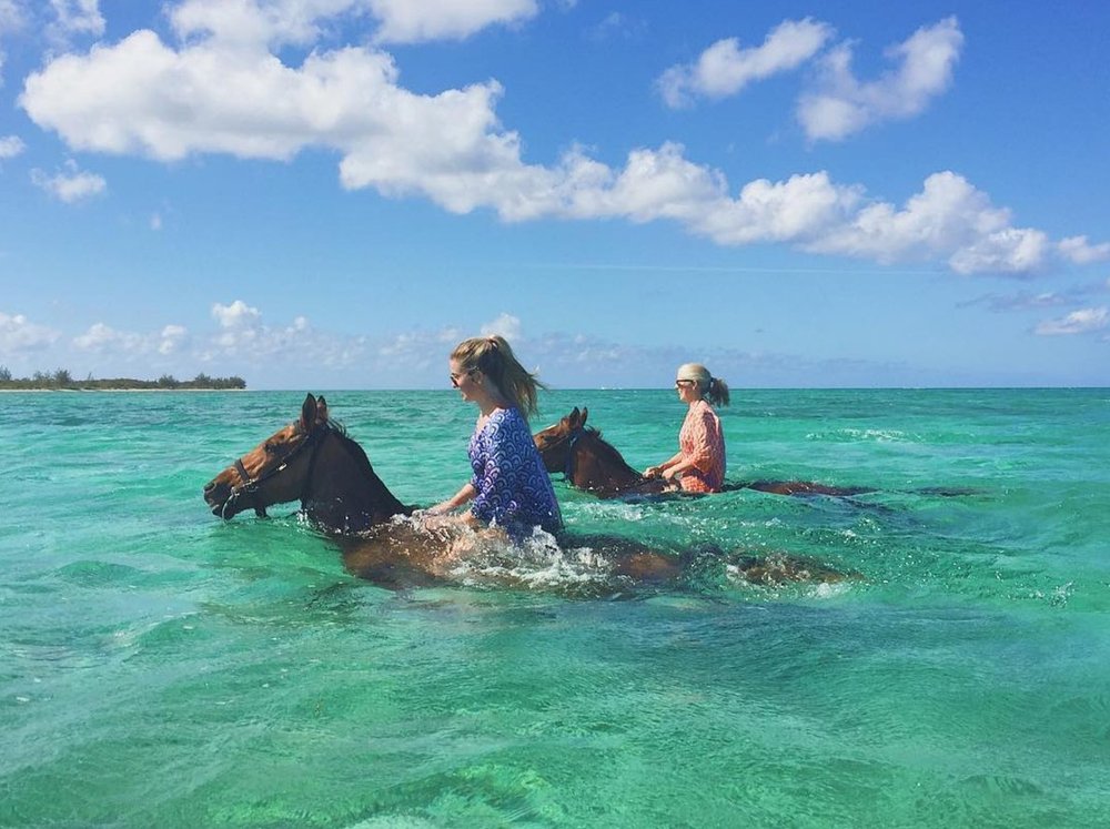 THE 5 BEST Grand Cayman Horseback Riding Tours (Updated 2023)