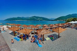 Pool & Beach