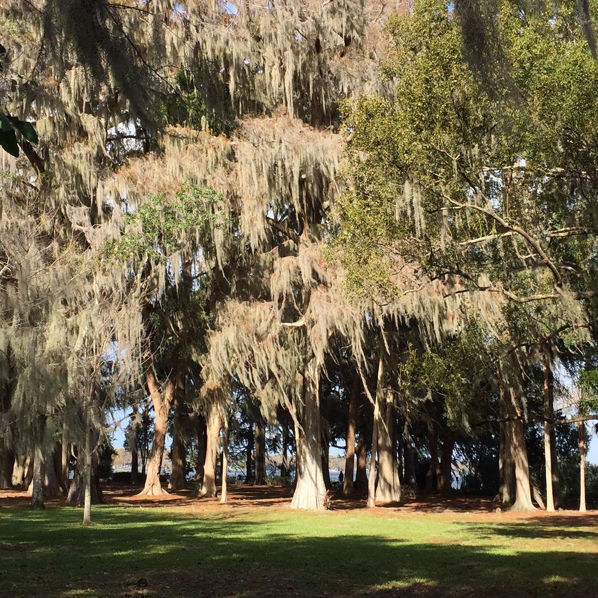 Kraft Azalea Gardens (Winter Park) 2021 All You Need to Know BEFORE