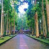 Things To Do in One Day Tour to Monkey Forest and Bali Temples, Restaurants in One Day Tour to Monkey Forest and Bali Temples