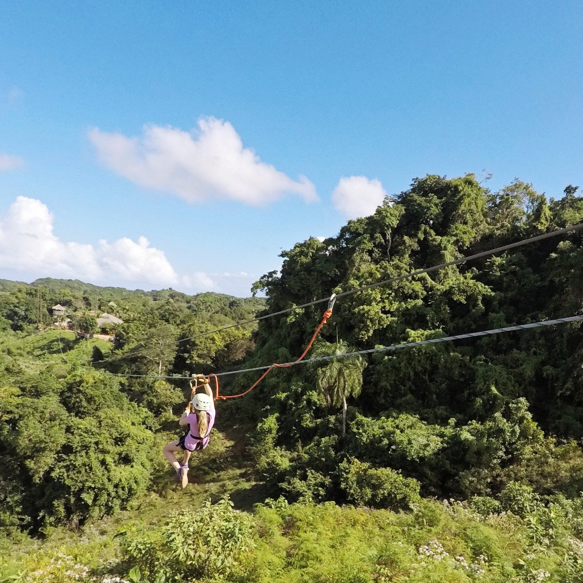 Monkey Jungle and Zip Line Adventures - All You Need to Know BEFORE You Go  (2024)