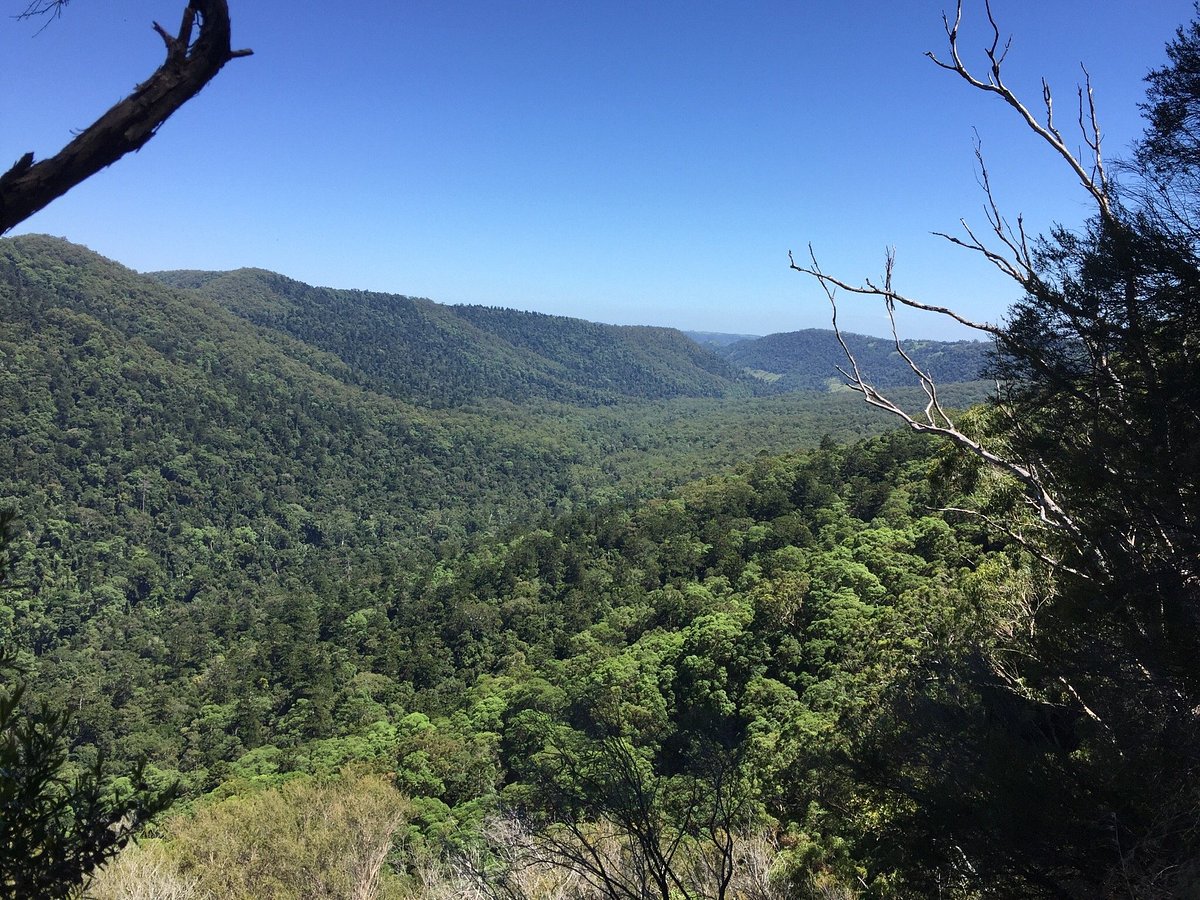 Coomera circuit, Lamington National Park, Parks and forests