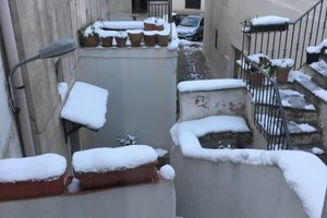 여행자 사진