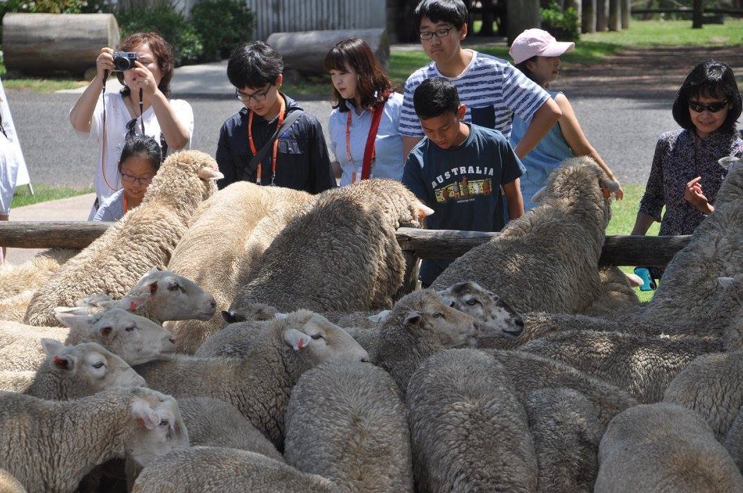 Real Aussie Farmers