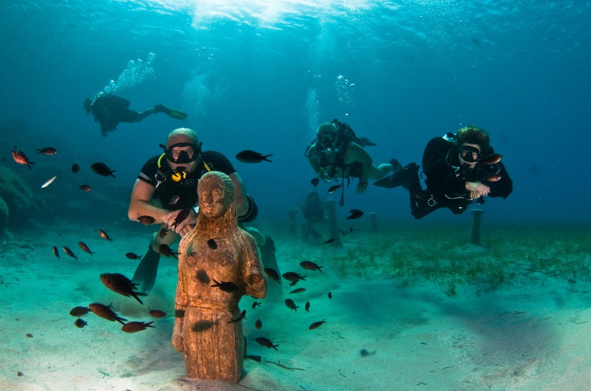 Undersea World Scuba Diving - All You Need to Know BEFORE You Go (2024)