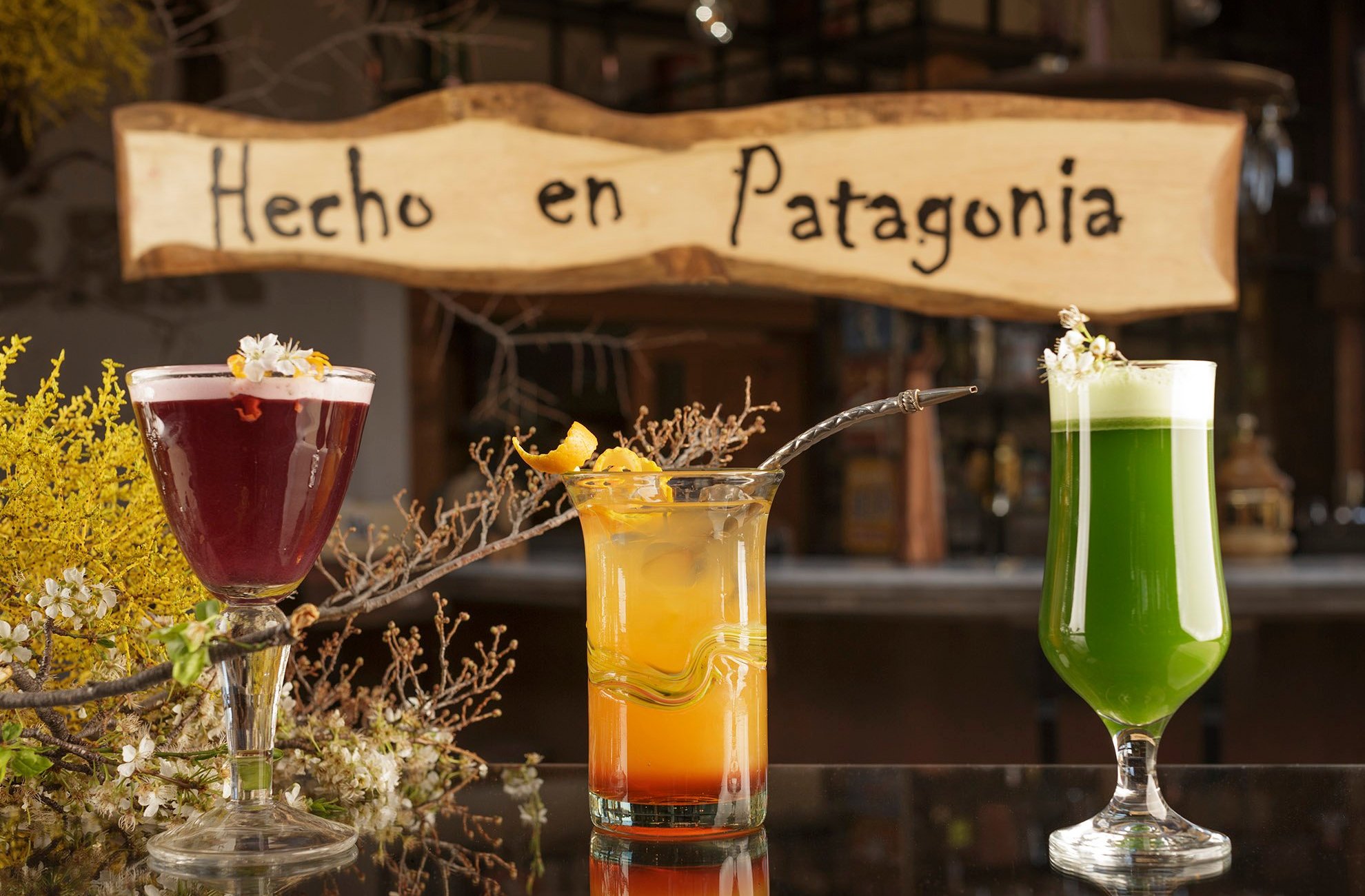 Hotel Las Torres Patagonia by null