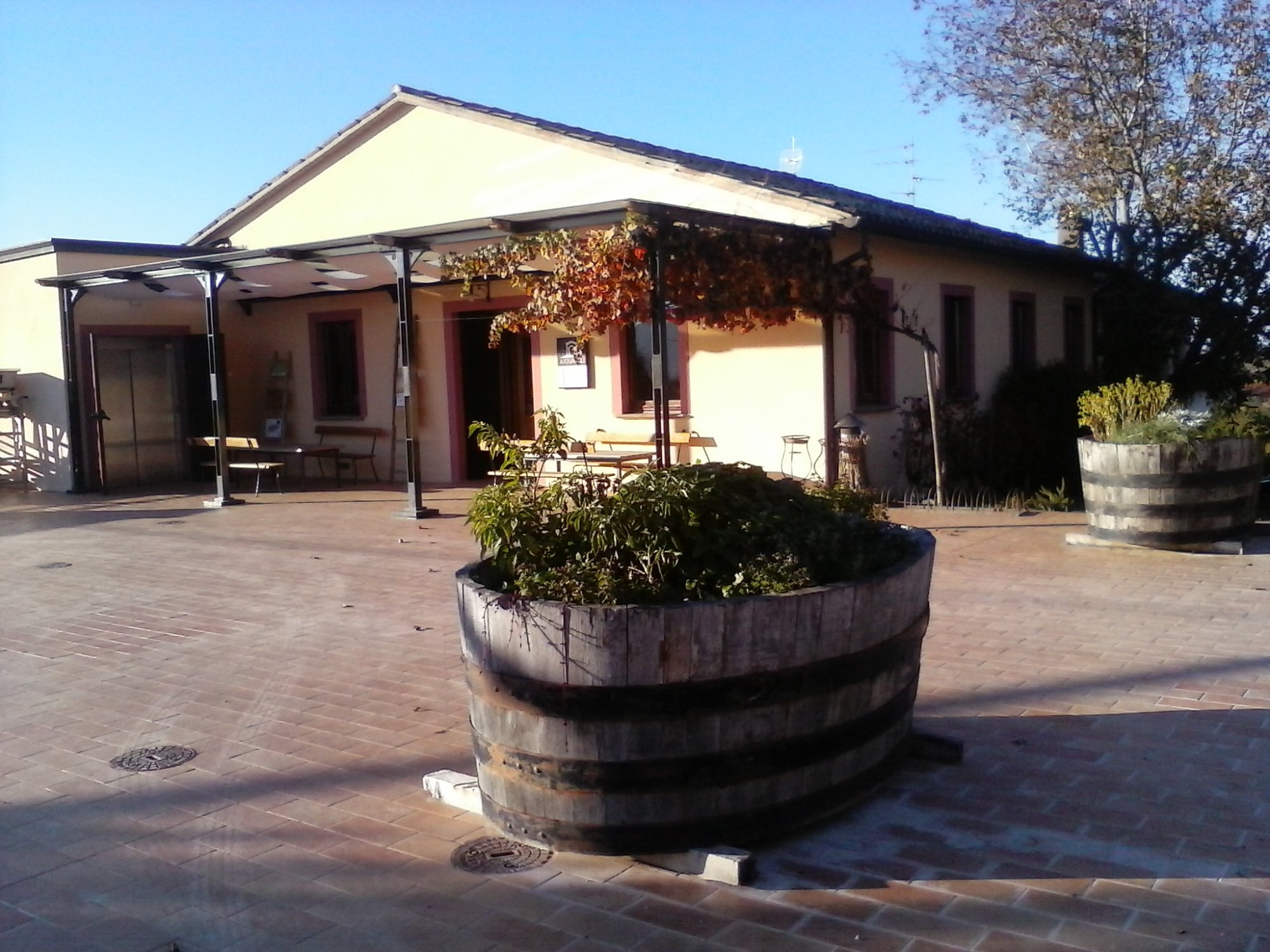 LE MIGLIORI 10 Cantine E Vigne A Montefalco - Tripadvisor