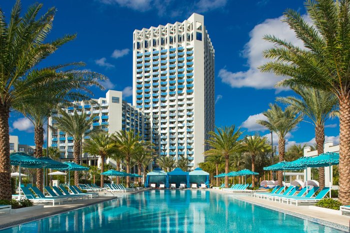 hilton hotel orlando address