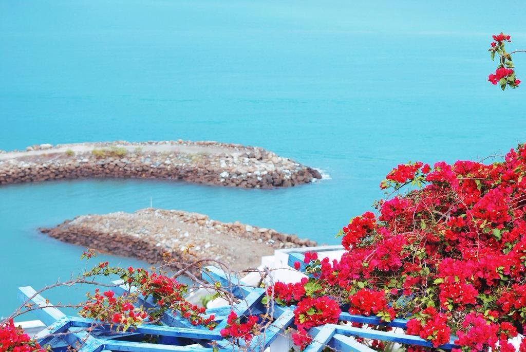 flowers taken from seafront property