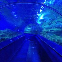 トンネルです