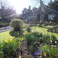The Garden in Spring