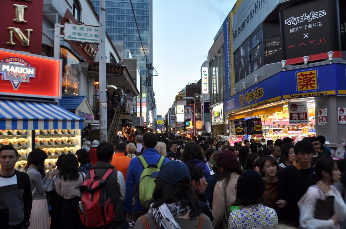 Pet Paradise, Harajuku Takeshita Street (Shibuya) - All You Need to ...