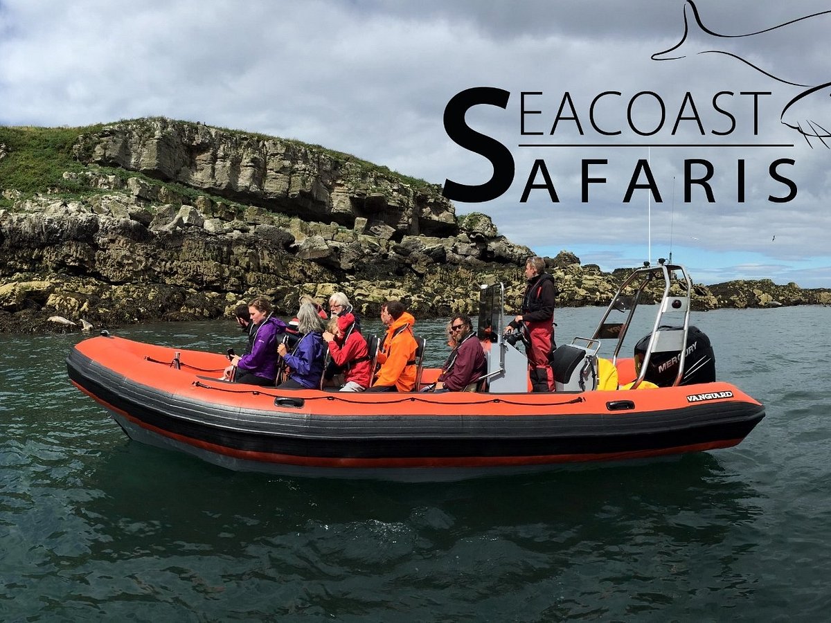 seacoast safaris reviews