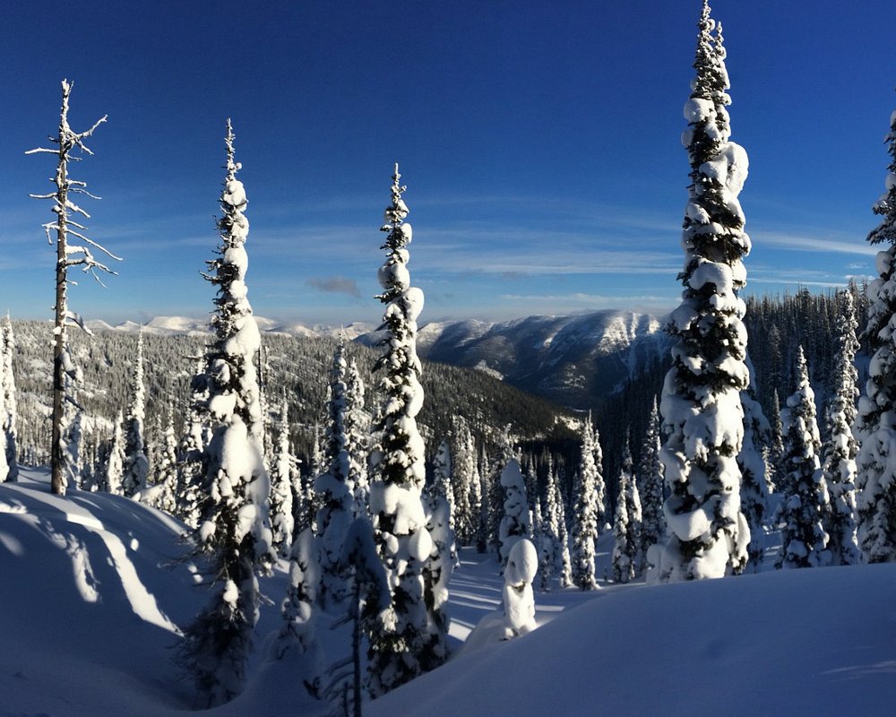 THE 15 BEST Things to Do in Whitefish 2024 (with Photos) Tripadvisor