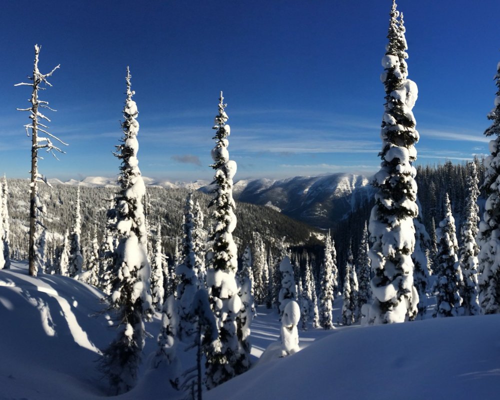 THE 15 BEST Things to Do in Whitefish 2024 (with Photos) Tripadvisor