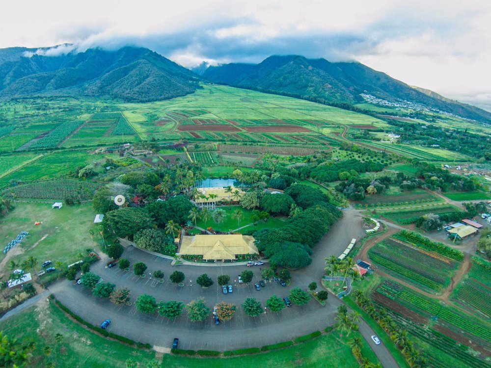 LES 10 MEILLEURES choses à faire à Maui 2024 (avec photos)