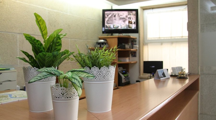 Recepción/Front desk