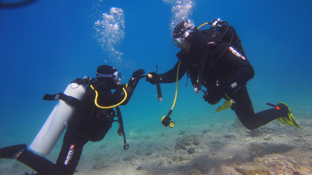 Bikini Dive, Брела: лучшие советы перед посещением - Tripadvisor