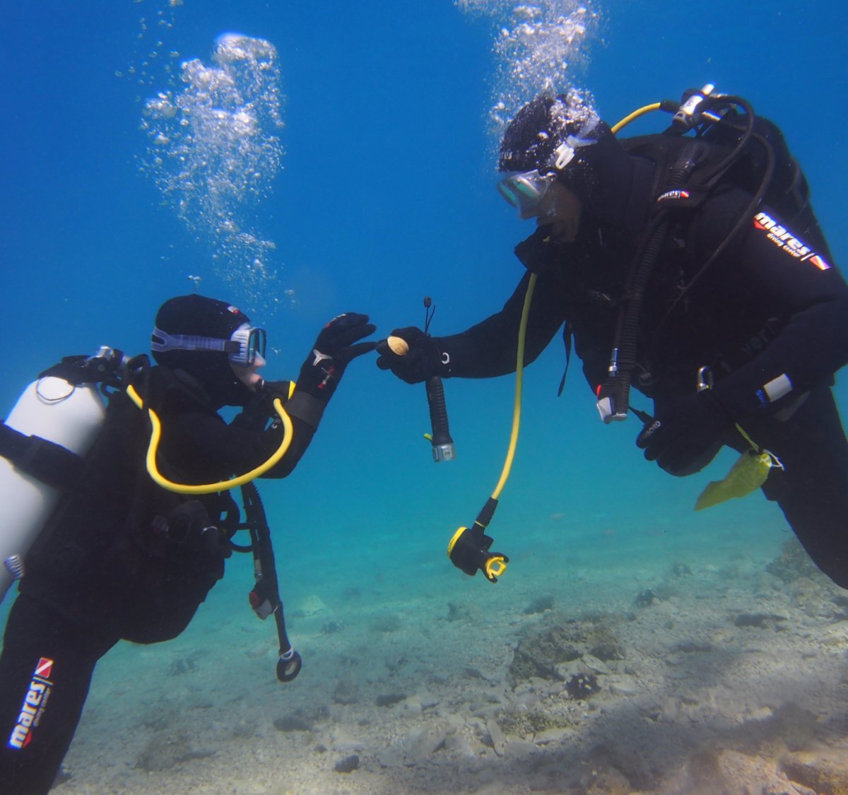 Bikini Dive, Брела: лучшие советы перед посещением - Tripadvisor