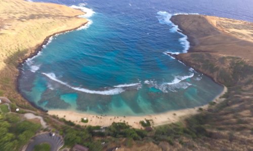 Memorial for Big Wave surfer legend Eddie Aikau, 1st lifeguard at Waimea Bay!  (Dec 1, 2016)