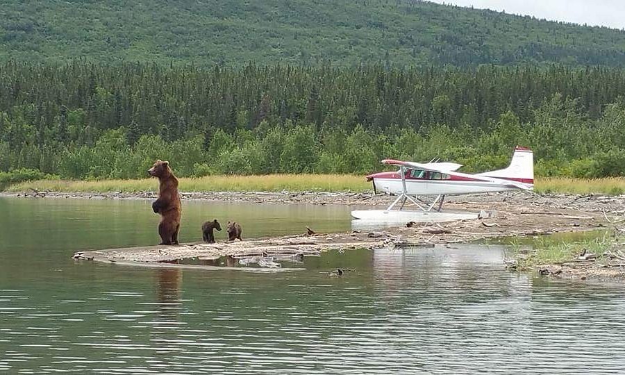 Airventures Alaska image
