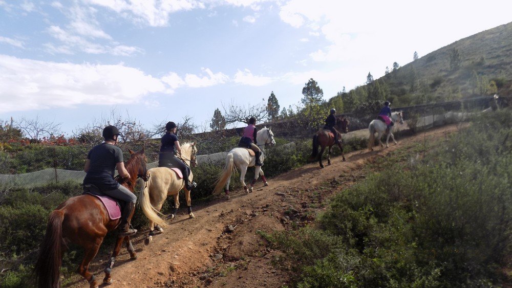 Horse Riding Tenerife - All You Need to Know BEFORE You Go (with