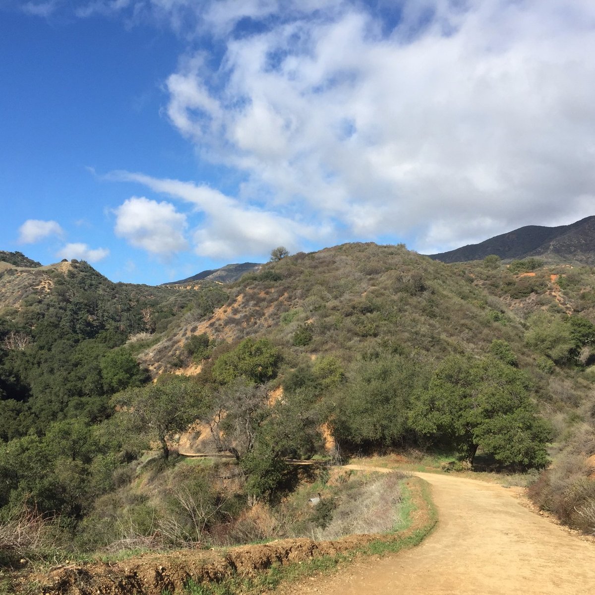 Claremont Hills Wilderness Park - All You Need to Know BEFORE You Go