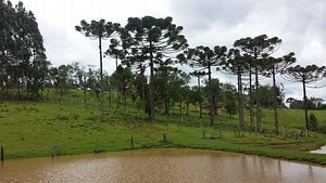 trilha equipe pedra preta em Itaperuna 