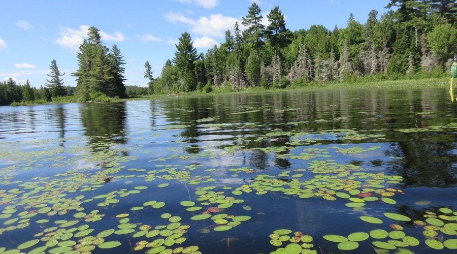 Marten River July 2016