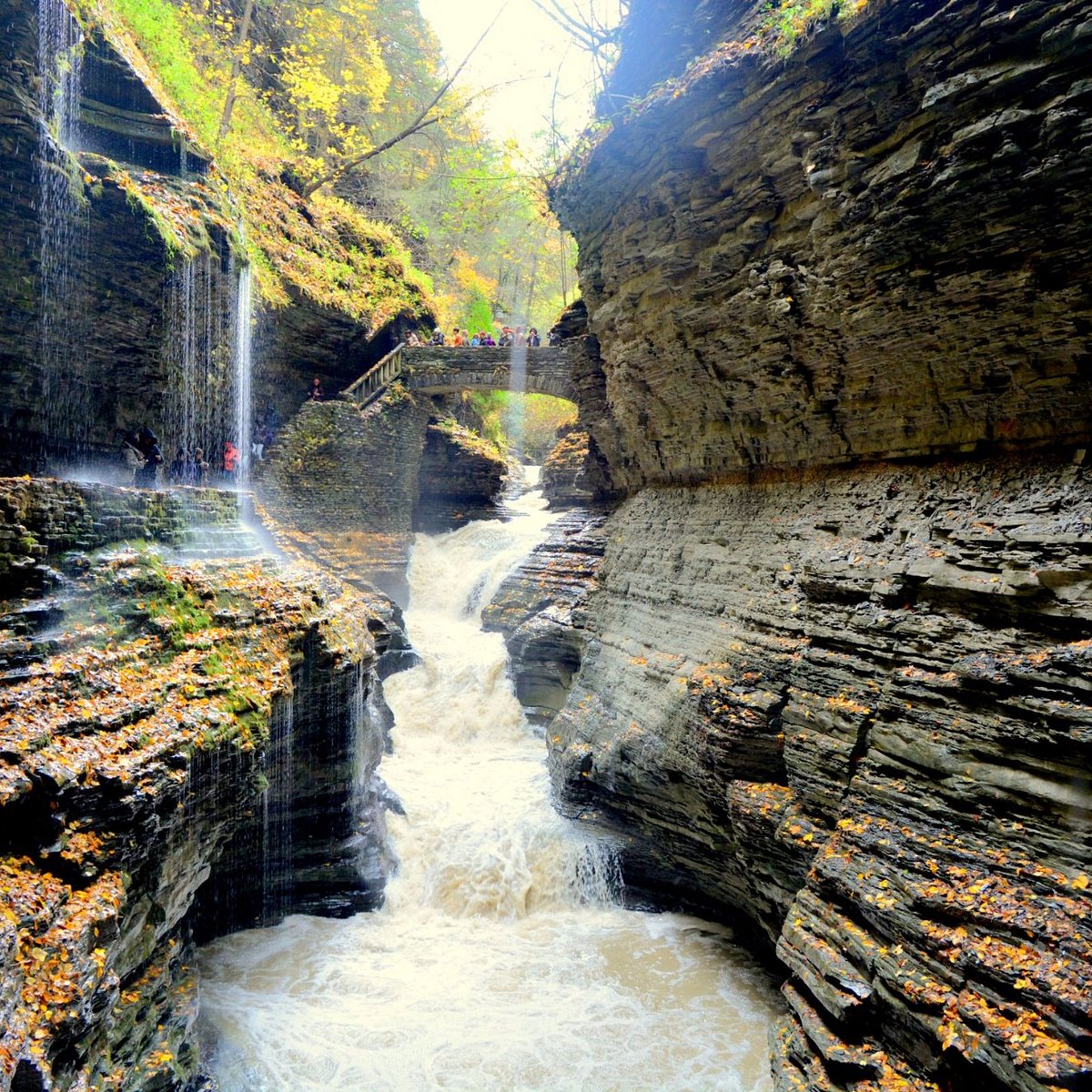 WATKINS GLEN STATE PARK All You Need to Know