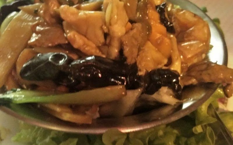 A chicken plate with black mushrooms.