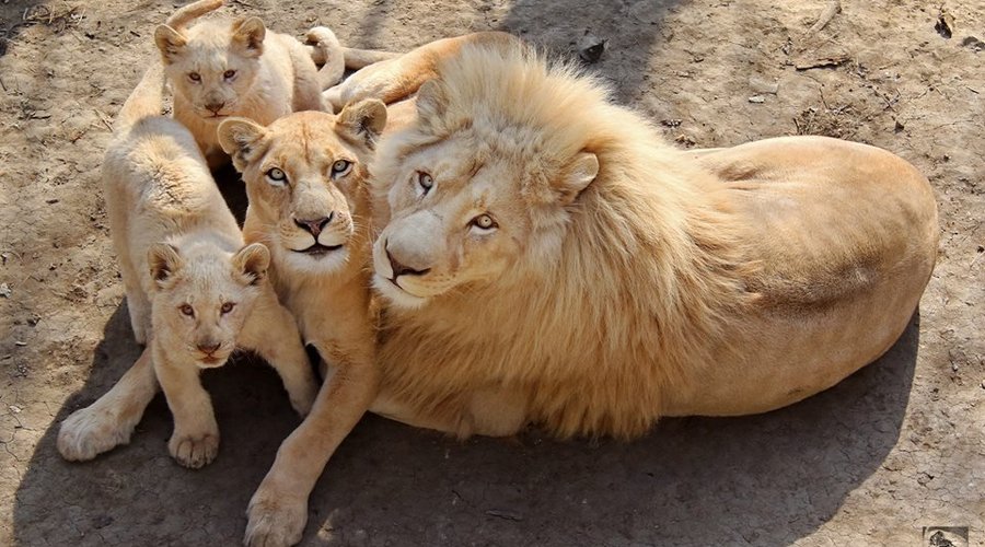 Family portrait