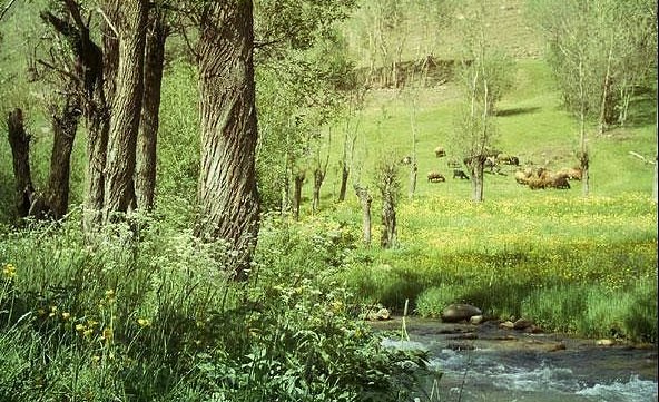Ligvan Valley image
