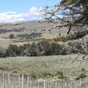 View of the ranch