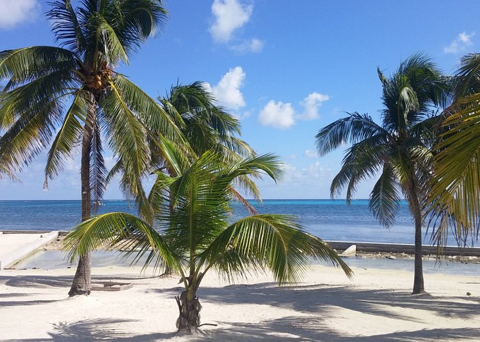 San Pedro, Belize 2023: Best Places to Visit - Tripadvisor