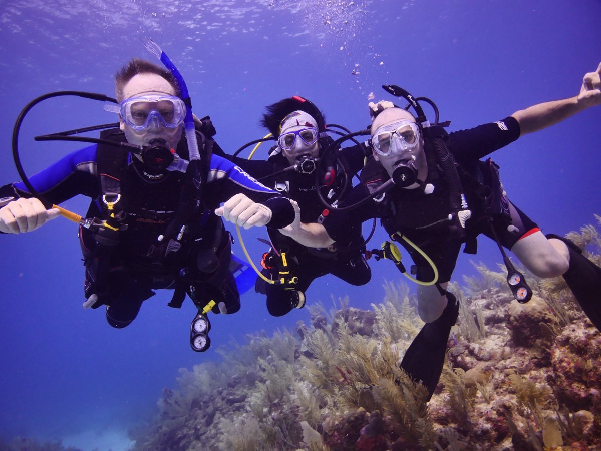 Buceo 3A (Akumal, เม็กซิโก) - รีวิว - Tripadvisor