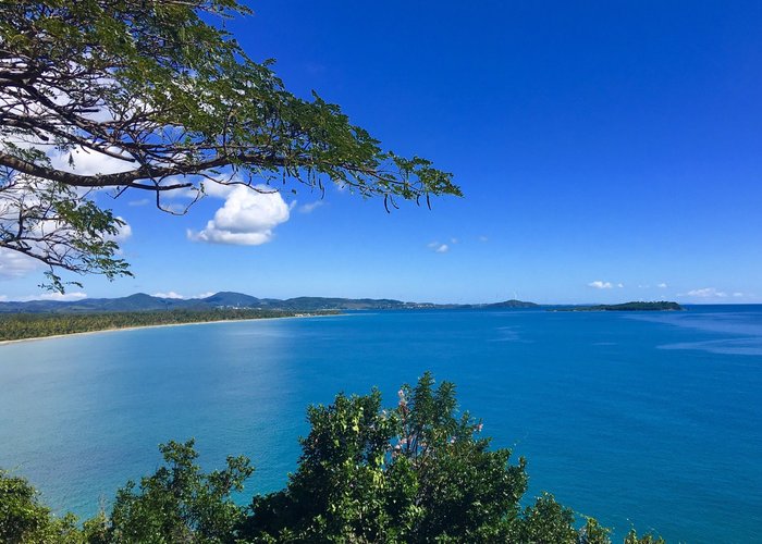 hahahahahahahaha I am hiding! - Picture of Humacao, Puerto Rico