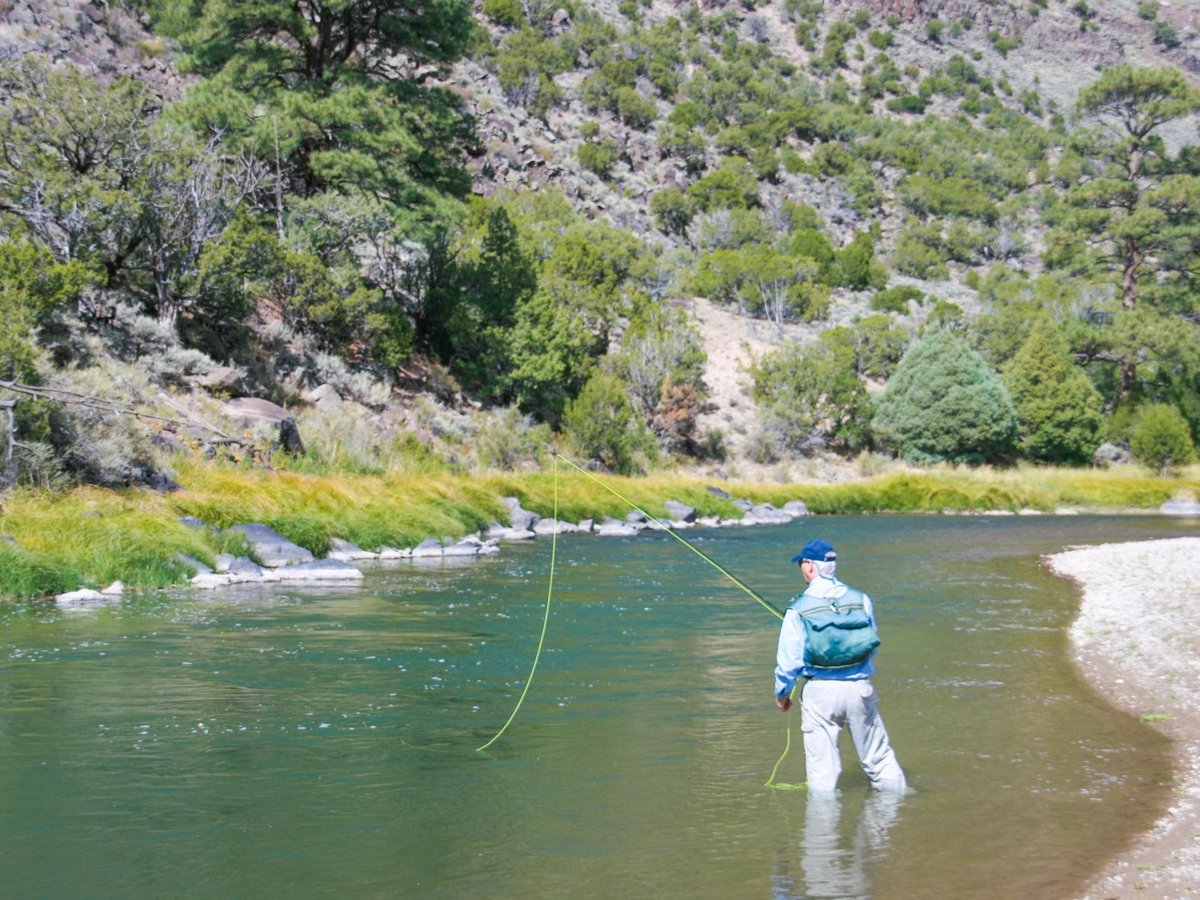 Taos Fly Shop - All You Need to Know BEFORE You Go (with Photos)