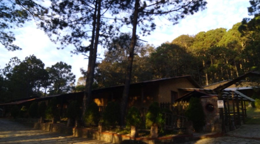 Cabañas familiares