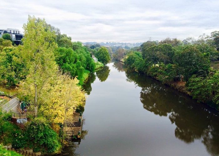 Yarra Bank Reserve