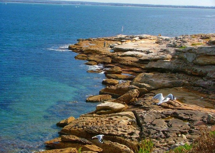Bare Island La Perouse
