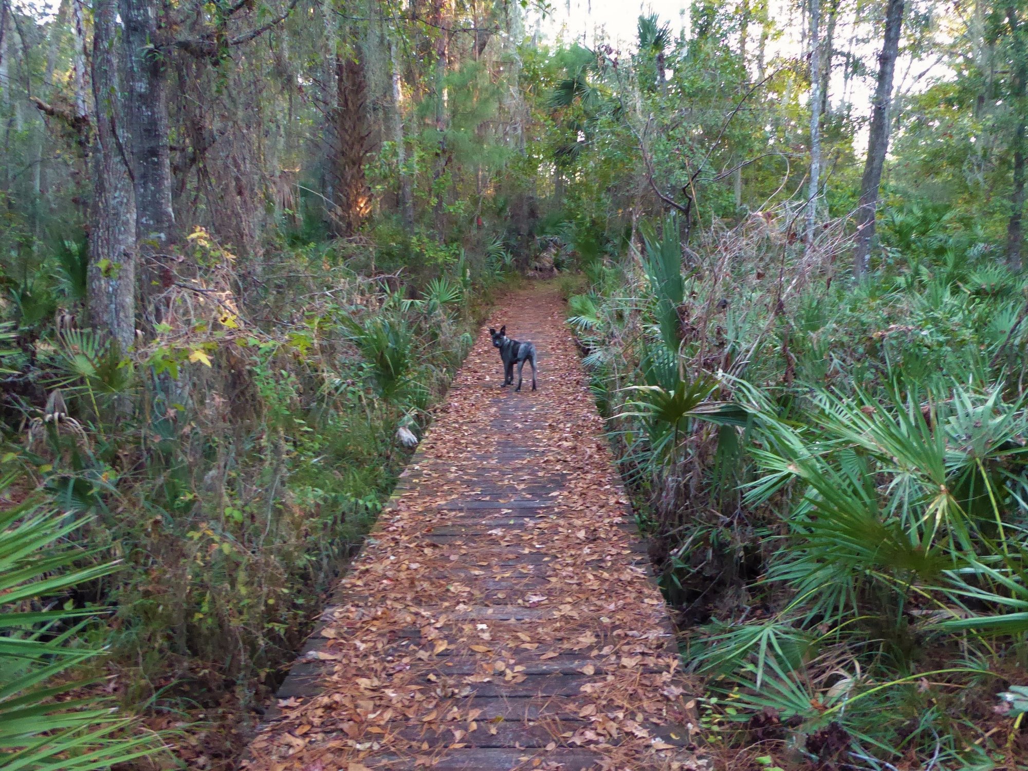 THE 10 BEST Central Florida Biking Trails Updated 2024 Tripadvisor   Trailmaster Buc 