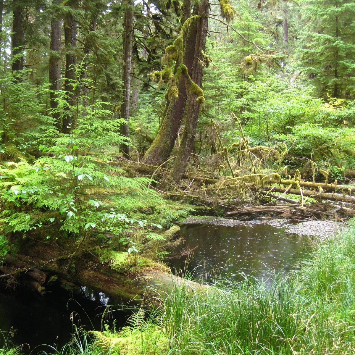 NAIKOON PROVINCIAL PARK - All You MUST Know Before You Go (2024)