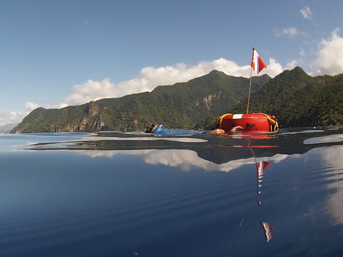 Freediving Dominica (Scotts Head) - All You Need to Know BEFORE You Go