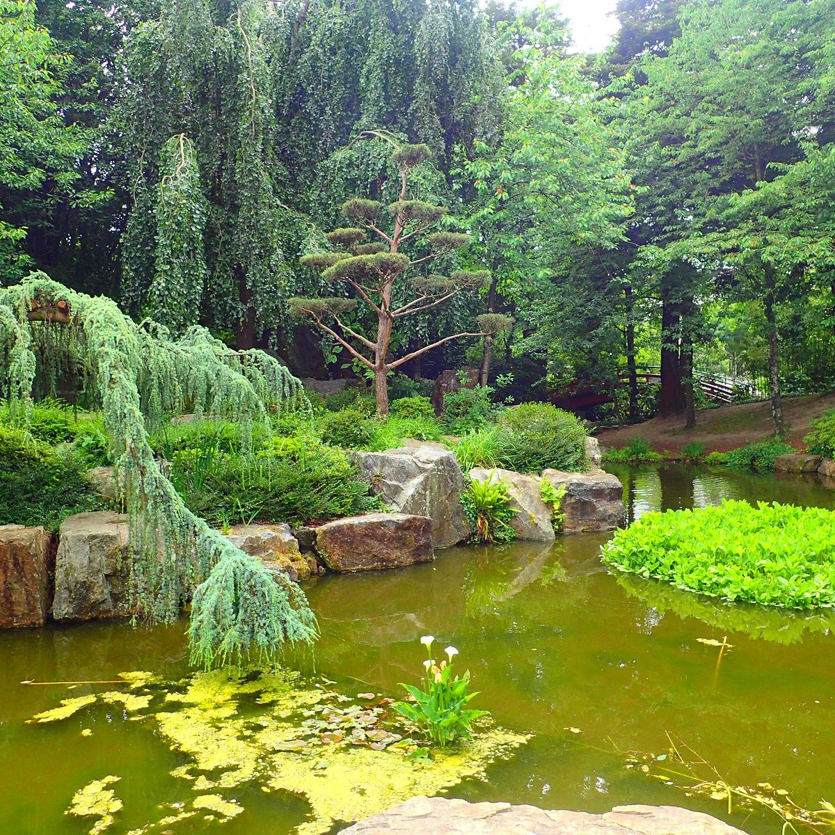 Jardin zen ( Vendée, Loire Atlantique)