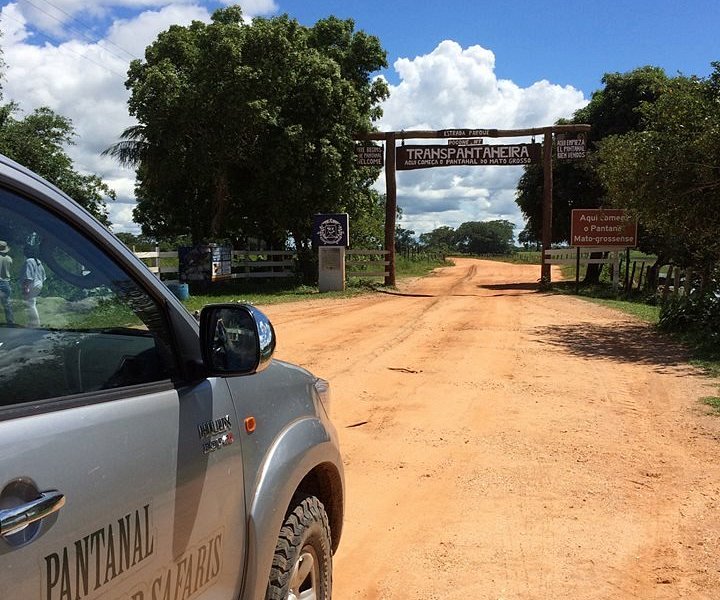 Do Pantanal ao Jalapão, as opções de safáris no Brasil - Lugares por Onde  Ando - Campo Grande News
