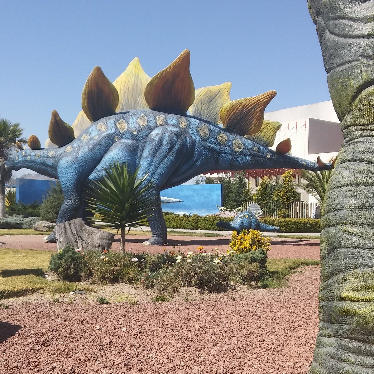 Museo El Rehilete (Pachuca) - 2023 Lo que se debe saber antes de viajar - Tripadvisor Museo El Rehilete (Pachuca) - 2023 Lo que se debe saber antes de viajar - Tripadvisor