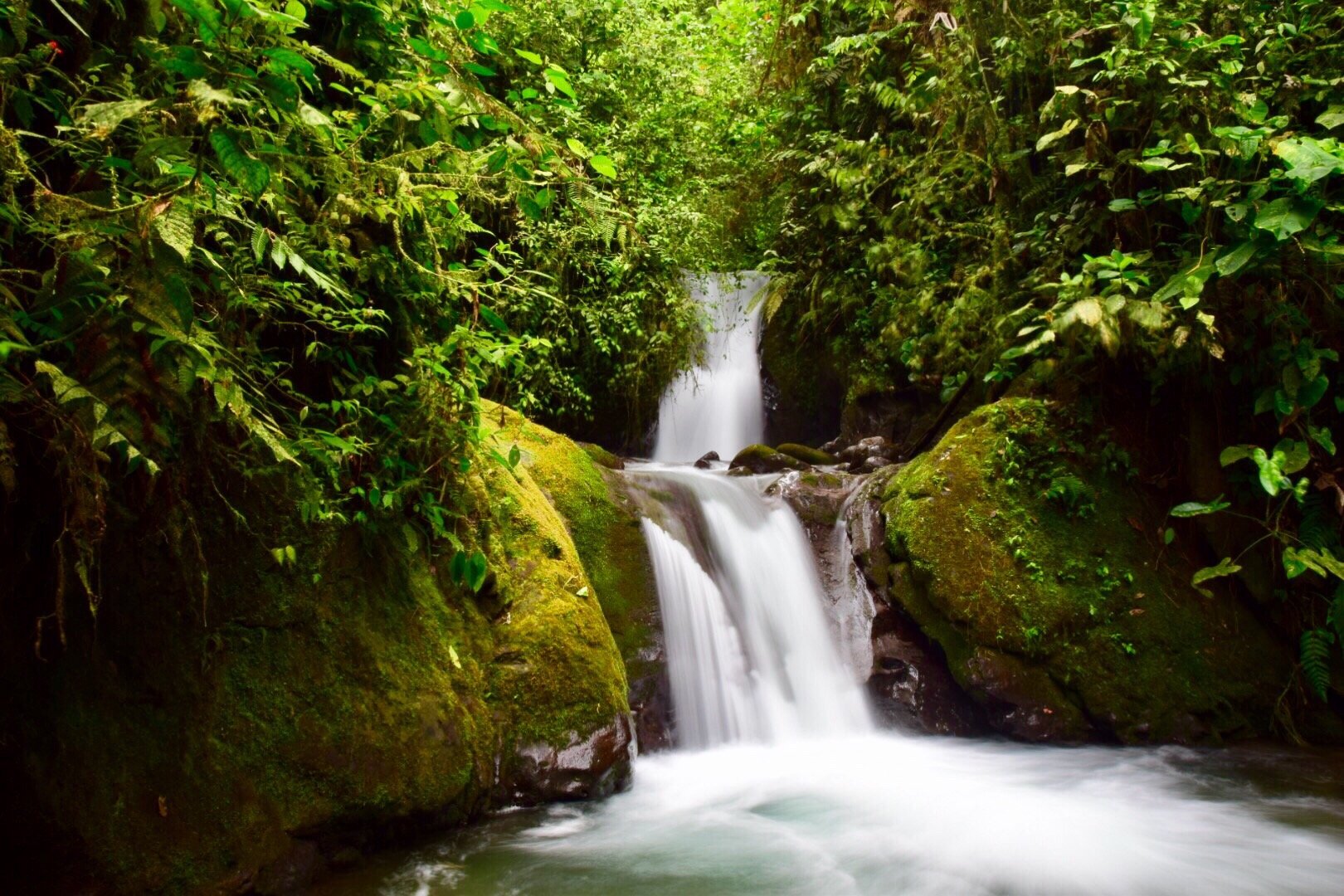 Mindo, Ecuador 2023: Best Places to Visit - Tripadvisor
