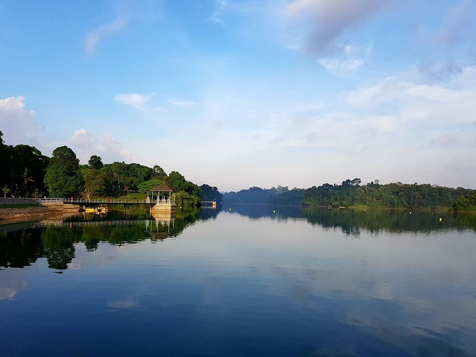 MacRitchie Reservoir Singapore All You Need To Know BEFORE You Go   Photo0jpg 