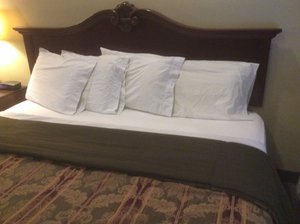 Room & Suite